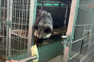 ky-thuat-nuoi-chon-huong-hieu-qua-cho-nguoi-moi-bat-dau