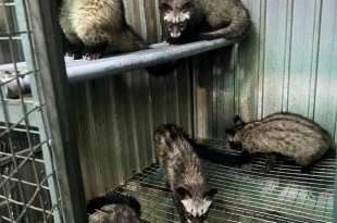 phong-benh-va-dieu-tri-mot-so-benh-thuong-gap-o-chon-huong