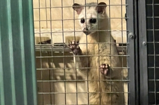 chia-se-kinh-nghiem-cham-soc-chon-huong-sinh-san-khoe-manh