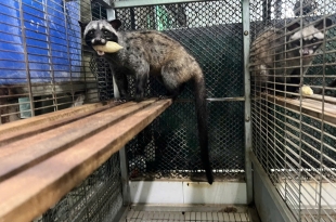 cach-lam-chuong-nuoi-chon-huong-khoa-hoc-sach-se-va-an-toan