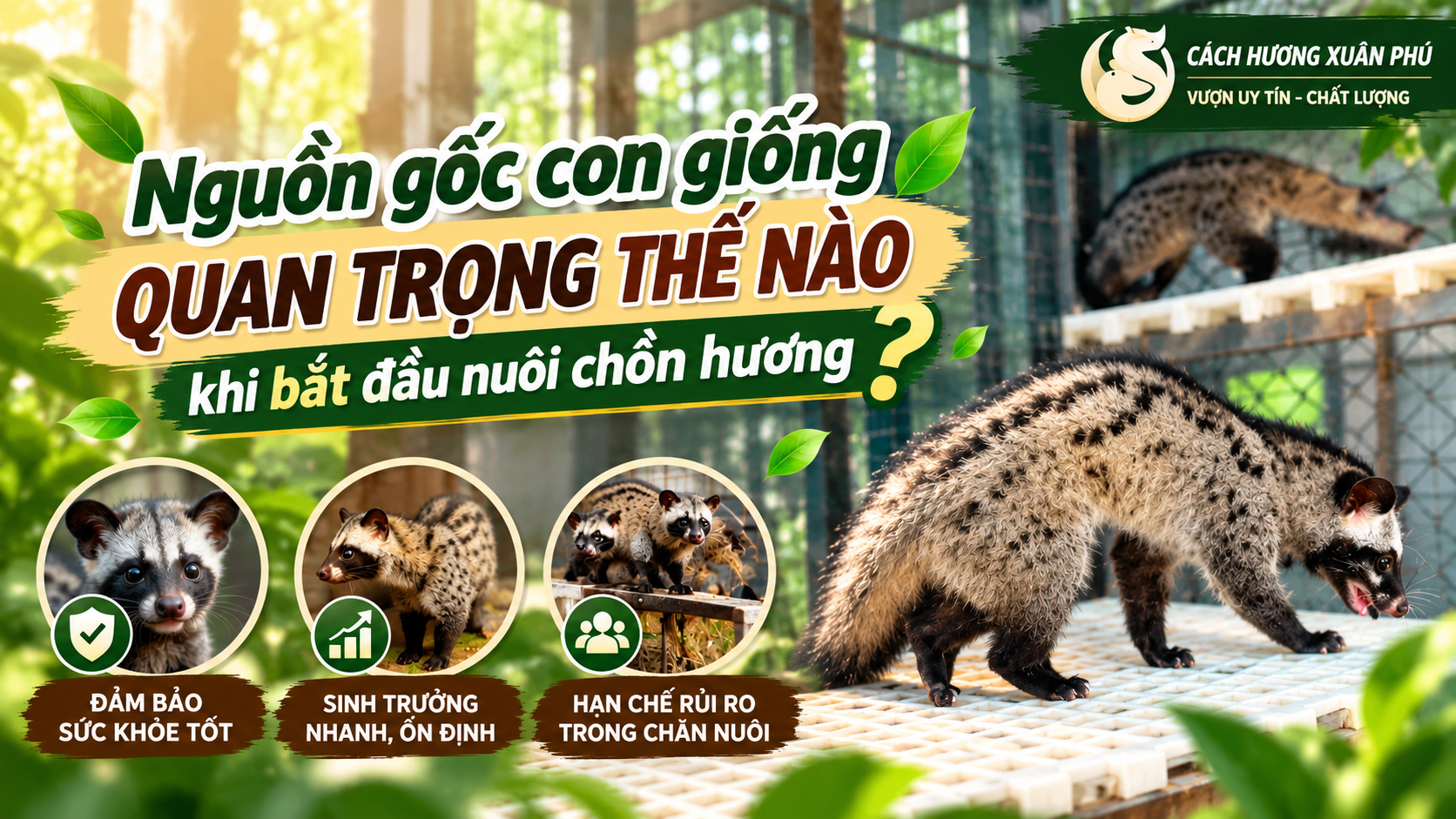 Khởi đầu hành trình chăn nuôi và giá trị cốt lõi từ nền tảng di truyền