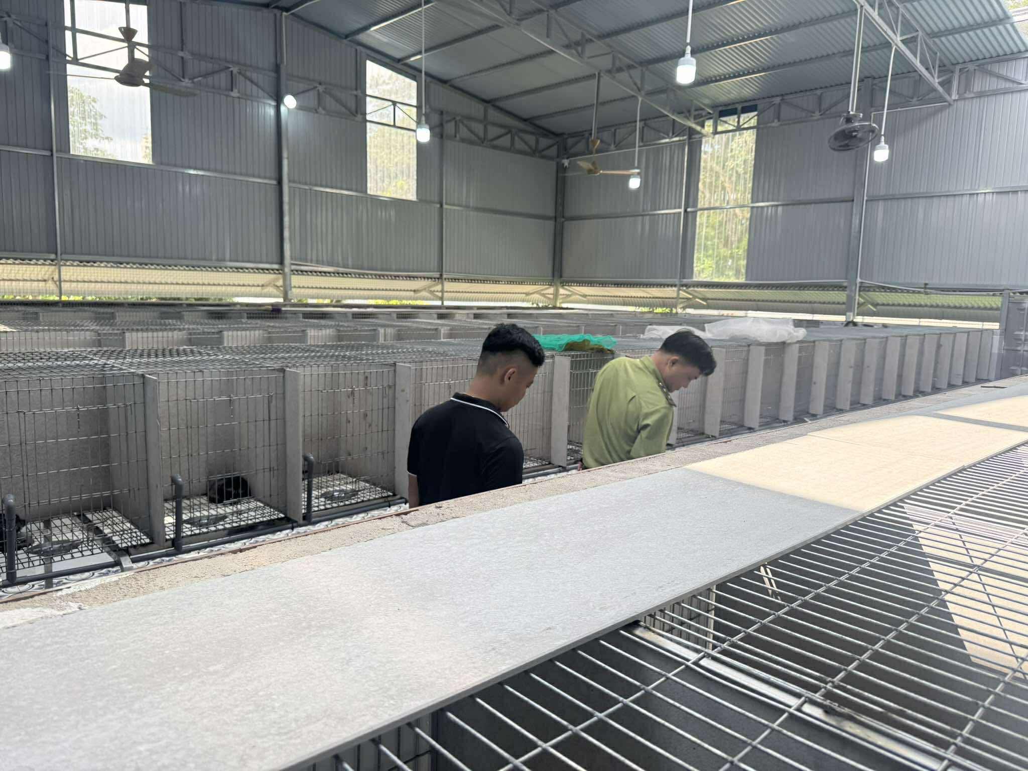 TRANG TRẠI CHỒN KHÉP KÍN