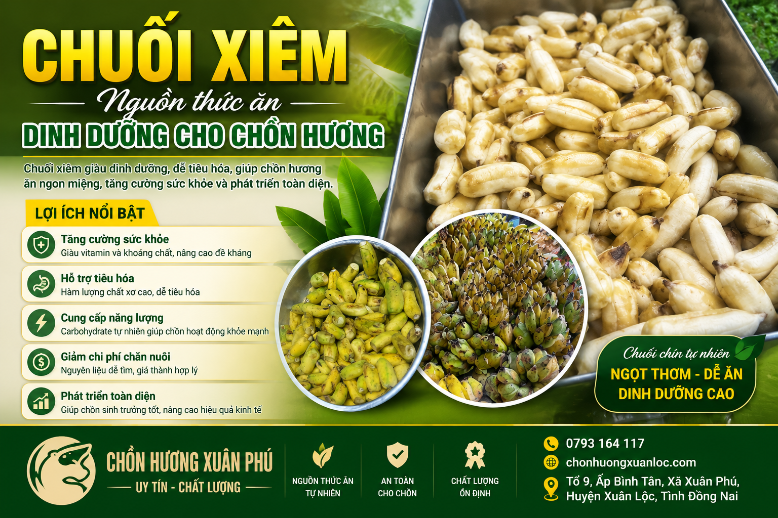 chuối xiêm thức ăn cho chồn hương