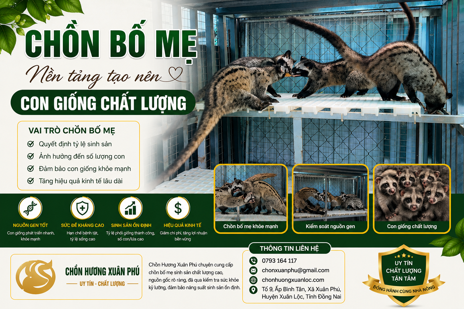 chồn giống chất lượng