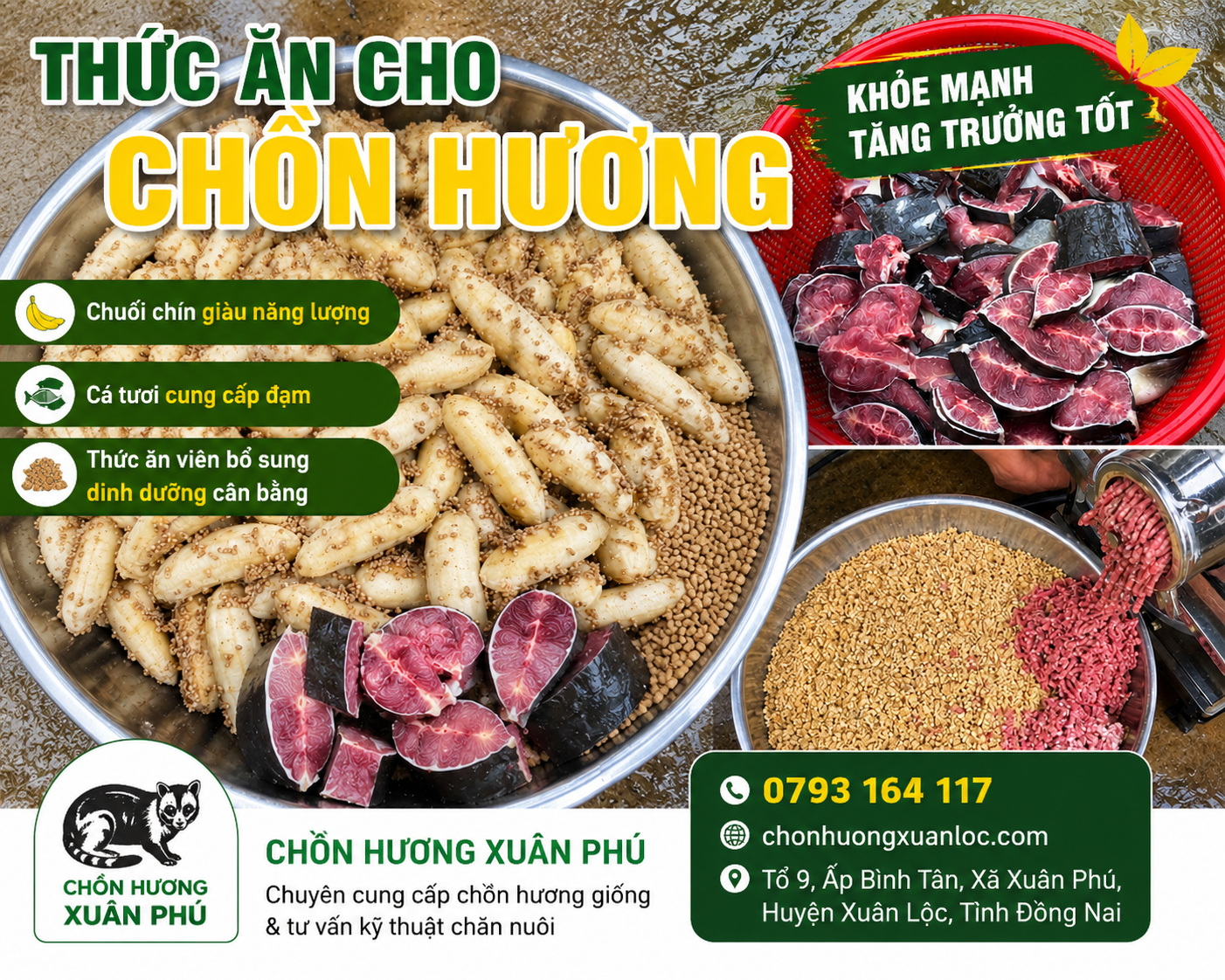 THỨC ĂN CHO CHỒN PHÁT TRIỂN NHANH